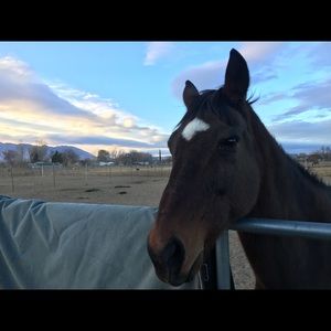 Meet your Posher, Marc